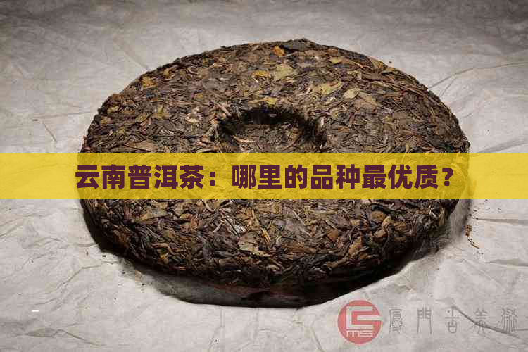 云南普洱茶：哪里的品种更优质？