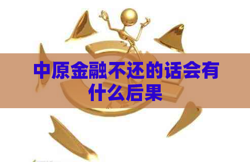 中原金融不还的话会有什么后果