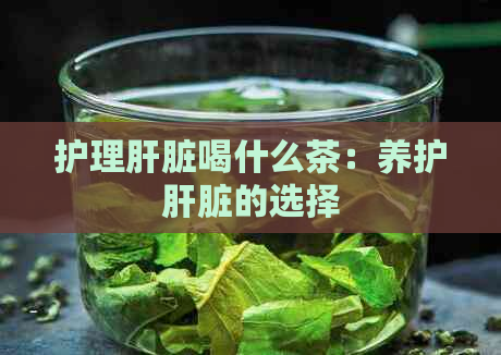 护理肝脏喝什么茶：养护肝脏的选择