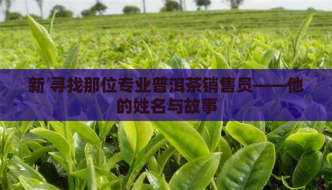 新 寻找那位专业普洱茶销售员——他的姓名与故事