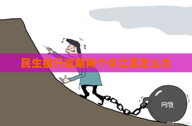 民生银行逾期两个月立案怎么办