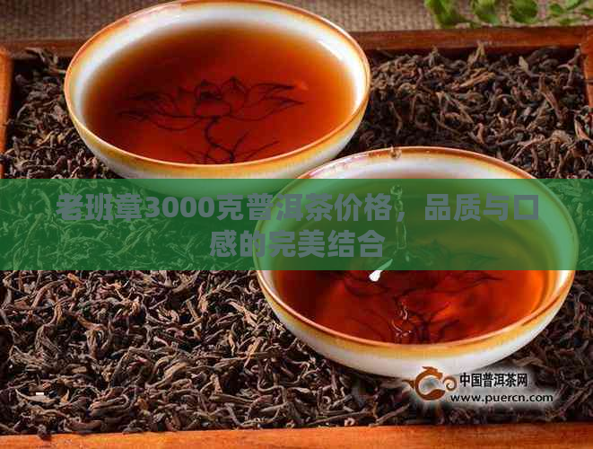 老班章3000克普洱茶价格，品质与口感的完美结合