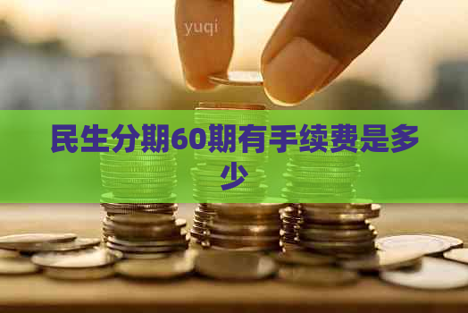 民生分期60期有手续费是多少