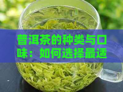 普洱茶的种类与口味：如何选择最适合你的普洱茶？