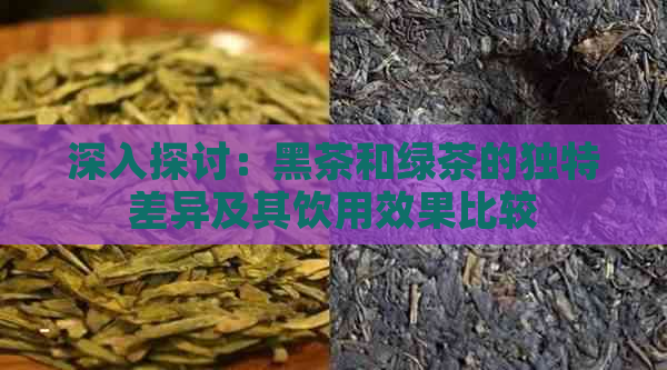 深入探讨：黑茶和绿茶的独特差异及其饮用效果比较