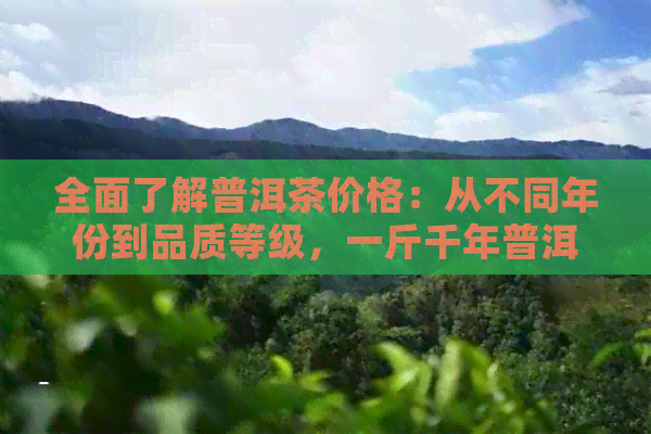 全面了解普洱茶价格：从不同年份到品质等级，一斤千年普洱茶多少钱？