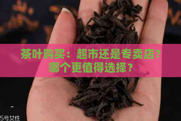 茶叶购买：超市还是专卖店？哪个更值得选择？