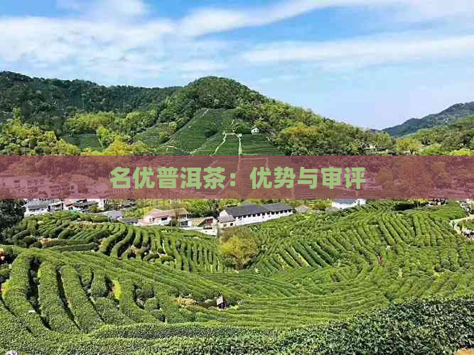 名优普洱茶：优势与审评