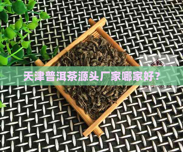 天津普洱茶源头厂家哪家好？