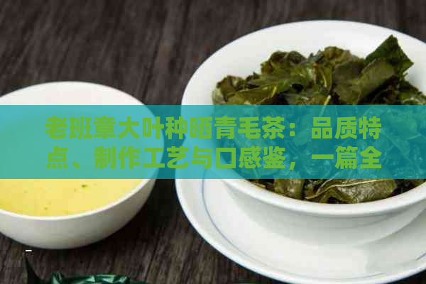 老班章大叶种晒青毛茶：品质特点、制作工艺与口感鉴，一篇全面解析