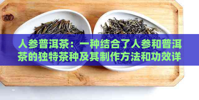 人参普洱茶：一种结合了人参和普洱茶的独特茶种及其制作方法和功效详解