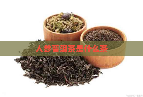 人参普洱茶是什么茶