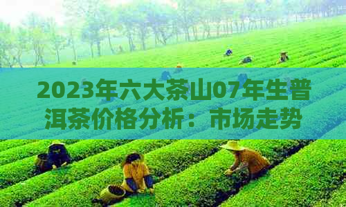 2023年六大茶山07年生普洱茶价格分析：市场走势与投资前景