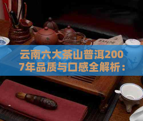 云南六大茶山普洱2007年品质与口感全解析：选购指南与品鉴方法