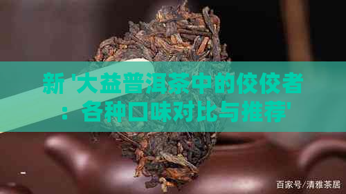 新 '大益普洱茶中的佼佼者：各种口味对比与推荐'