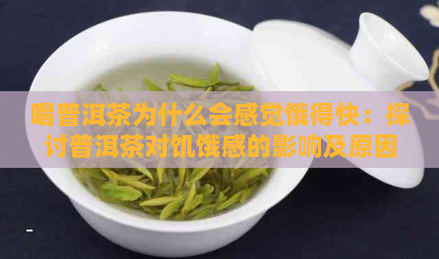 喝普洱茶为什么会感觉饿得快：探讨普洱茶对饥饿感的影响及原因