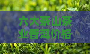 六大茶山茶业普洱价格表查询2007年：六大茶山牌普洱茶2002年价格及品质评价