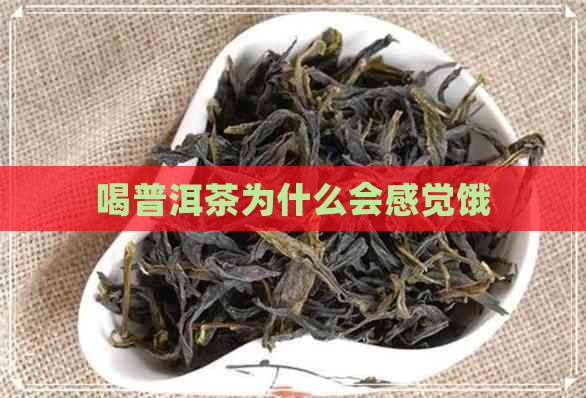 喝普洱茶为什么会感觉饿