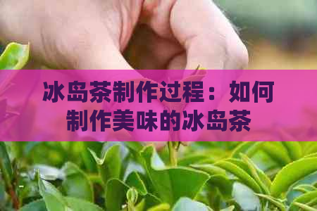 冰岛茶制作过程：如何制作美味的冰岛茶