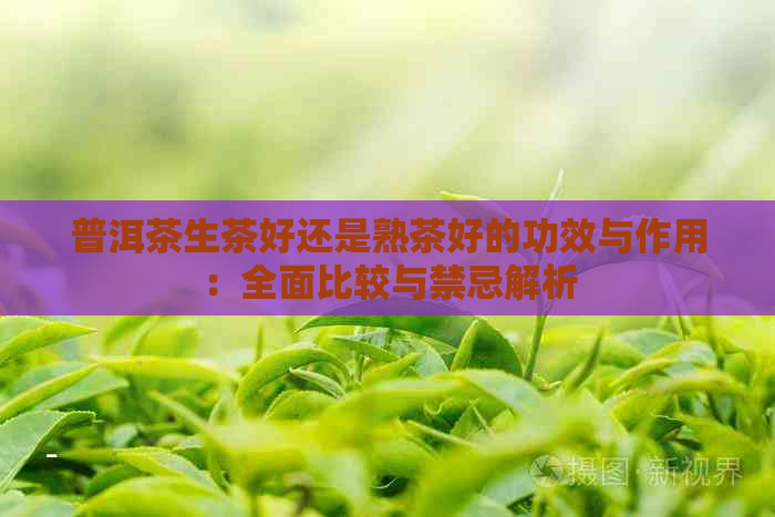 普洱茶生茶好还是熟茶好的功效与作用：全面比较与禁忌解析