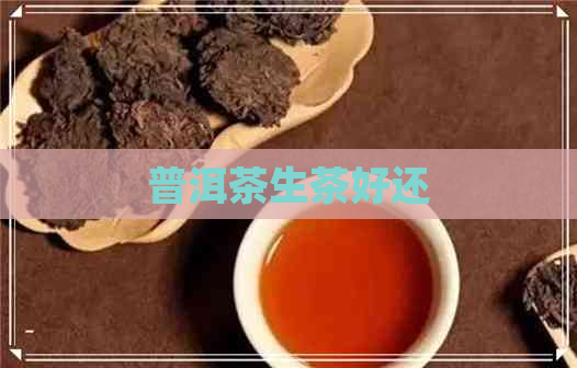 普洱茶生茶好还