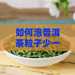 如何泡普洱茶粒子少一点？