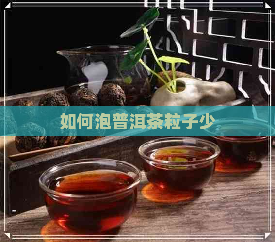 如何泡普洱茶粒子少