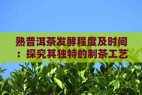 熟普洱茶发酵程度及时间：探究其独特的制茶工艺