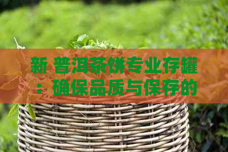 新 普洱茶饼专业存罐：确保品质与保存的完美结合