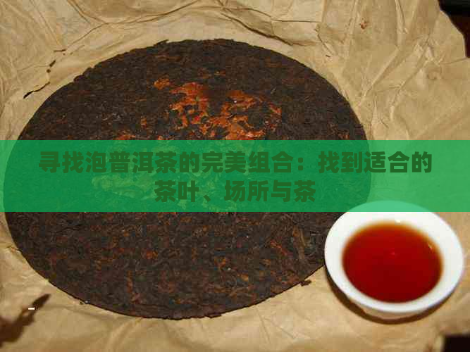 寻找泡普洱茶的完美组合：找到适合的茶叶、场所与茶