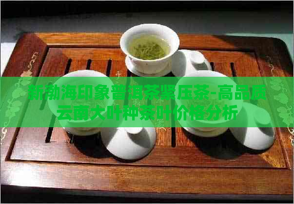 新渤海印象普洱茶紧压茶-高品质云南大叶种茶叶价格分析