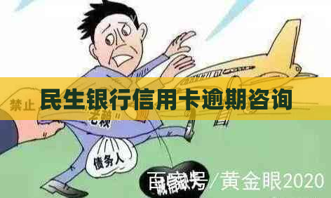 民生银行信用卡逾期咨询