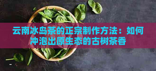 云南冰岛茶的正宗制作方法：如何冲泡出原生态的古树茶香