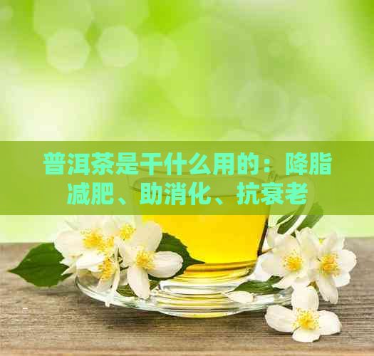 普洱茶是干什么用的：降脂减肥、助消化、抗衰老