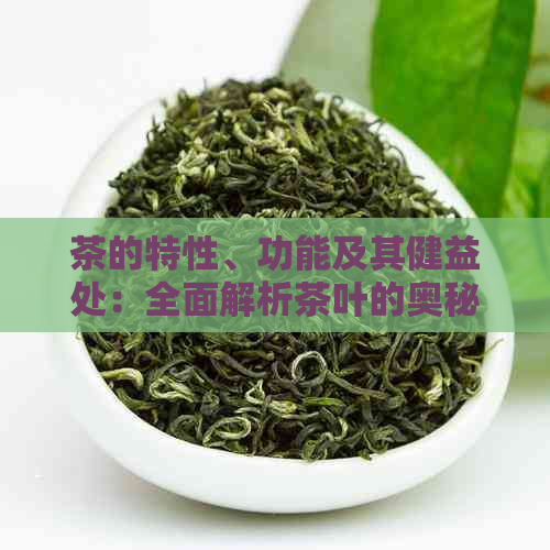 茶的特性、功能及其健益处：全面解析茶叶的奥秘