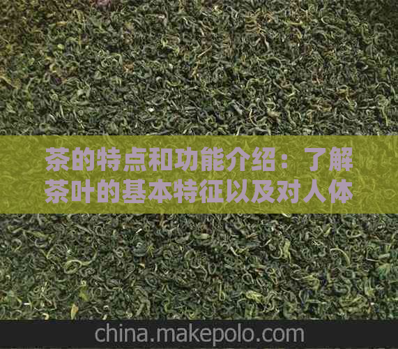 茶的特点和功能介绍：了解茶叶的基本特征以及对人体的益处。