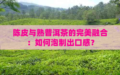 陈皮与熟普洱茶的完美融合：如何泡制出口感？