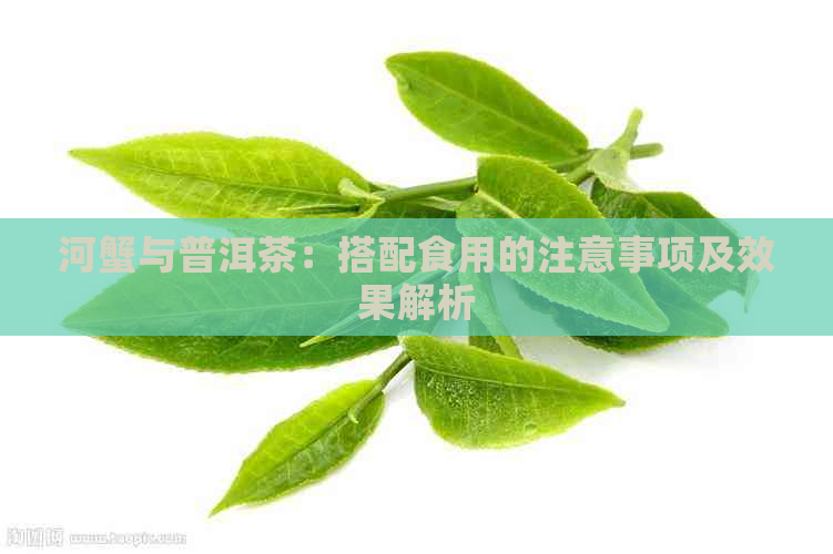 河蟹与普洱茶：搭配食用的注意事项及效果解析