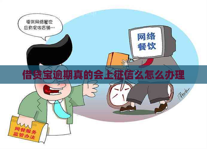 借贷宝逾期真的会上么怎么办理