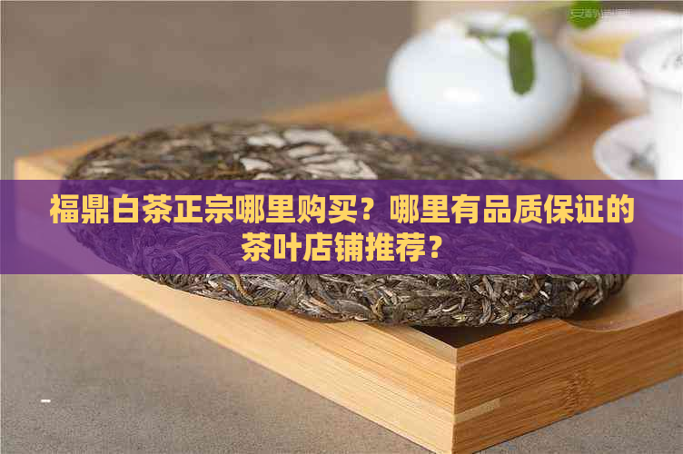 福鼎白茶正宗哪里购买？哪里有品质保证的茶叶店铺推荐？