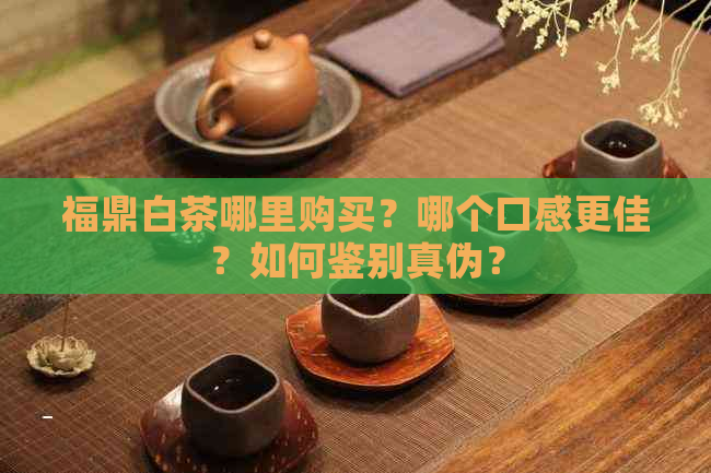 福鼎白茶哪里购买？哪个口感更佳？如何鉴别真伪？