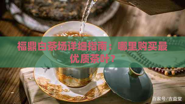 福鼎白茶场详细指南：哪里购买更优质茶叶？