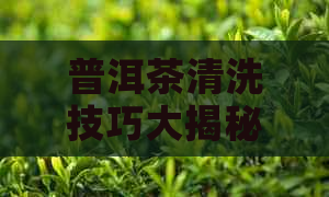 普洱茶清洗技巧大揭秘：如何去除茶叶中的杂质与异味