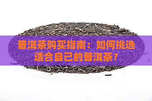 普洱茶购买指南：如何挑选适合自己的普洱茶？