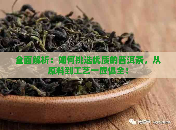 全面解析：如何挑选优质的普洱茶，从原料到工艺一应俱全！