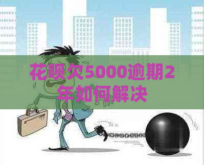 花呗欠5000逾期2年如何解决