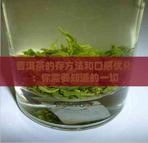 普洱茶的存方法和口感优化：你需要知道的一切