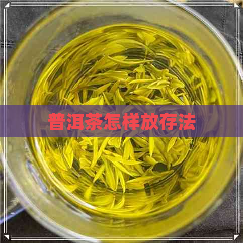 普洱茶怎样放存法