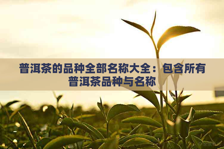 普洱茶的品种全部名称大全：包含所有普洱茶品种与名称