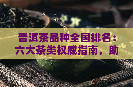 普洱茶品种全国排名：六大茶类权威指南，助你挑选最适合的茶品